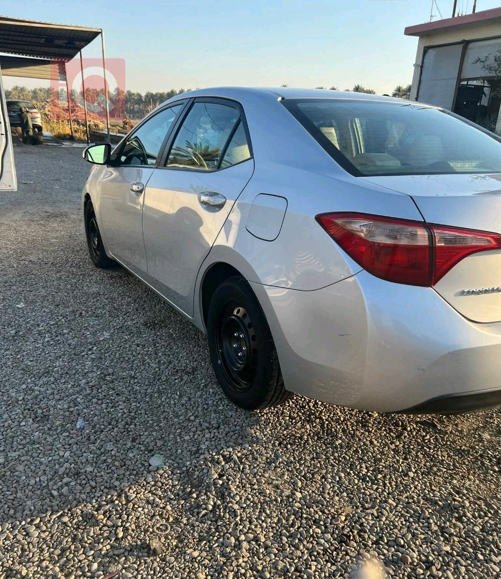 تويوتا كورولا